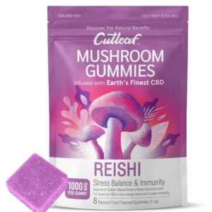 Reishi 1000MG Mushroom Gummies